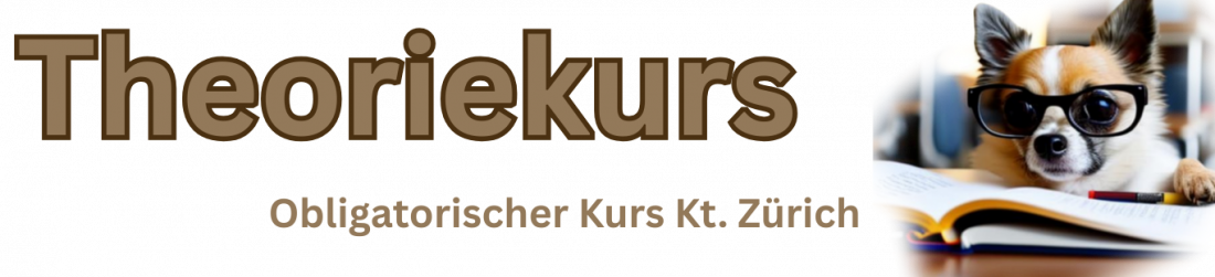 Theoriekurs Kanton Zürich (obligatorisch)  - Kursteil 
