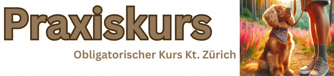 Praxiskurs obligatorisch  - Kt. Zürich