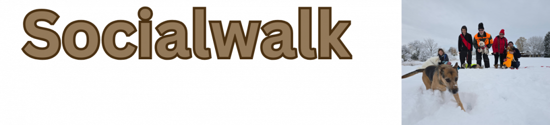 Socialwalk