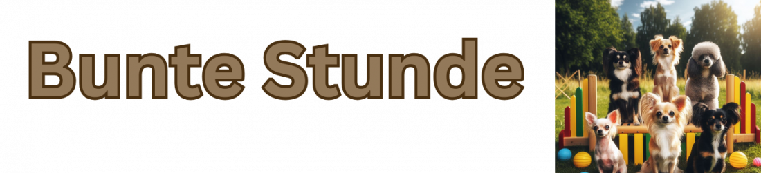 Bunte Stunde (Alltagstraining)