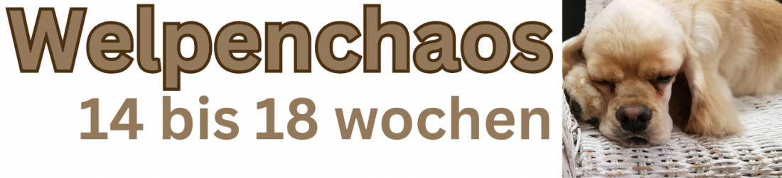Welpenchaos 10 - 20 Wochen alt